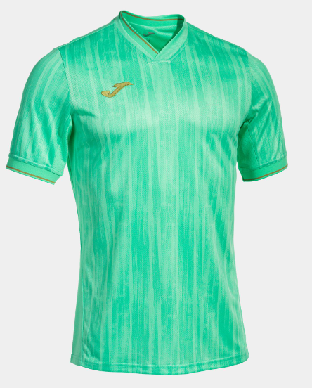 Joma - Maglietta maniche corte Gold VI