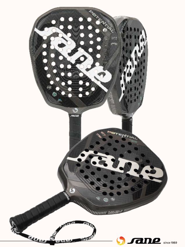 Sane - Potential Intermediate Edition