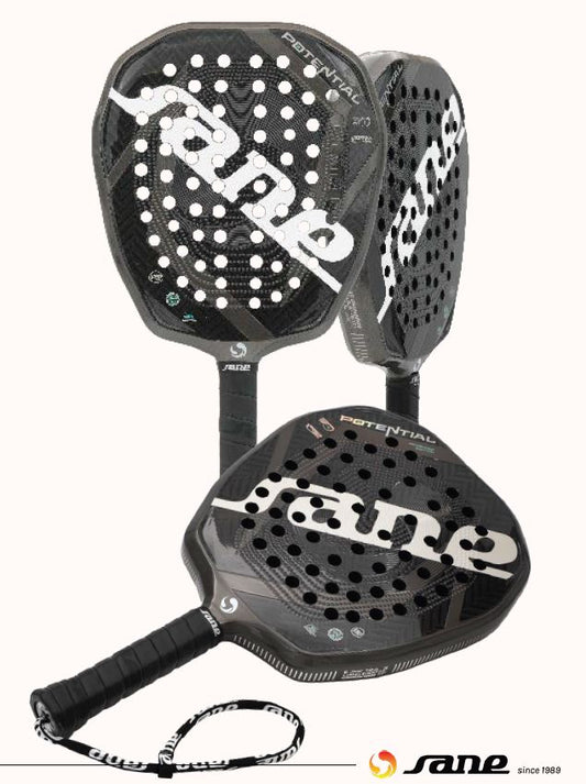 Sane - Potential Intermediate Edition