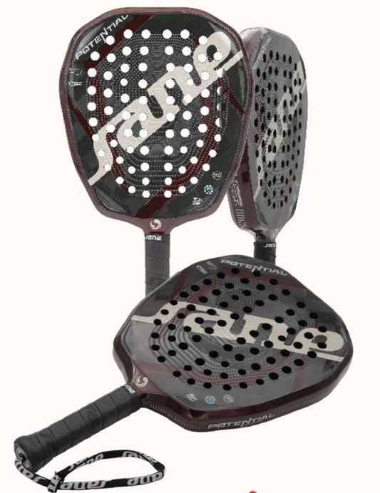 Sane - Potential Professional Edition