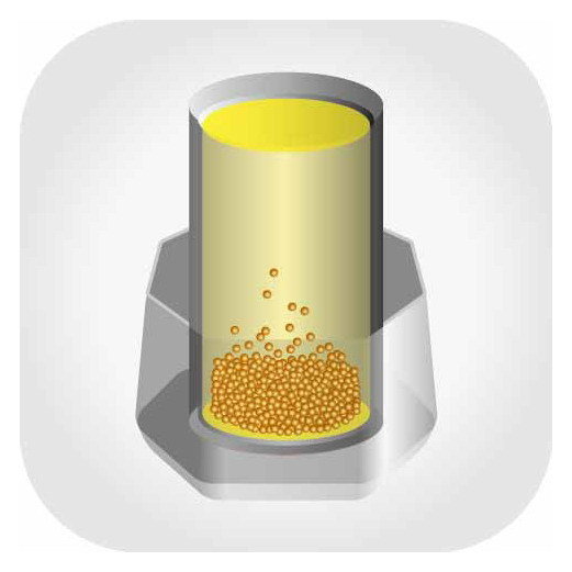 Prokennex – Focus Pro
